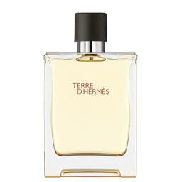 Hermes Terre D'Hermes Eau De Toilette Spray 100ml