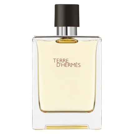Hermes Terre D'Hermes Eau De Toilette Spray 100ml