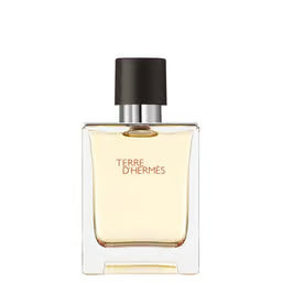Hermes Terre D'Hermes Eau De Toilette Spray 100ml
