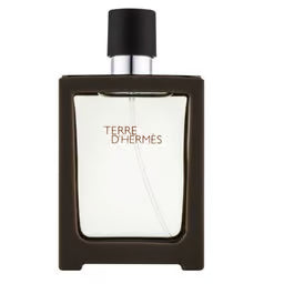 Hermes Terre D'Hermes Eau De Toilette Spray 100ml